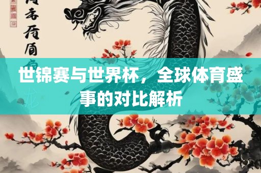 世锦赛与世界杯，全球体育盛事的对比解析