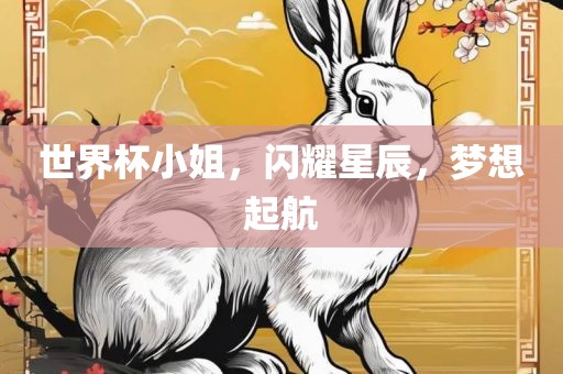 世界杯小姐，闪耀星辰，梦想起航