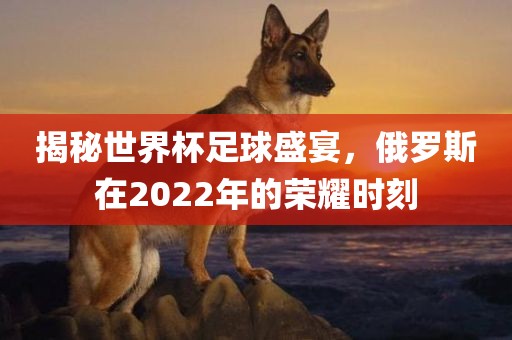 揭秘世界杯足球盛宴，俄罗斯在2022年的荣耀时刻