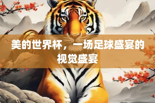 美的世界杯，一场足球盛宴的视觉盛宴