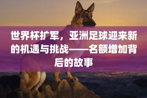 世界杯扩军，亚洲足球迎来新的机遇与挑战——名额增加背后的故事漯河市盈旭机械设备有限公司