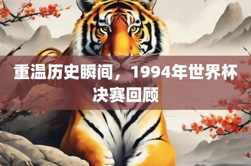 重温历史瞬间，1994年世界杯决赛漯河市盈旭机械设备有限公司回顾