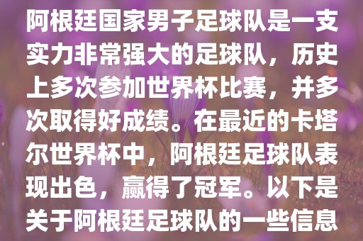 阿根廷国家男子足球队是一支实力非常强大的足球队，历史上多次参加世界杯比赛，并多次取得好成绩。在最近的卡塔尔世界杯中，阿根廷足球队表现出色，赢得了冠军。以下是关于阿根廷足球队的一些信息