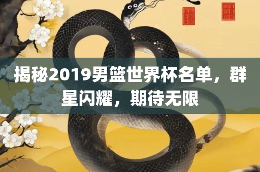 揭秘2019男篮世界杯名单，群星闪耀，期待无限