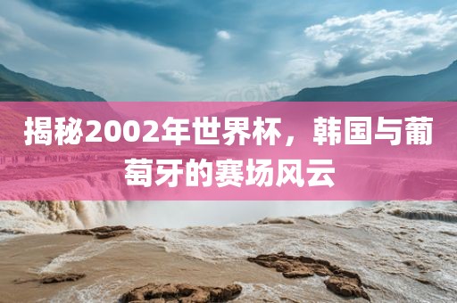 揭秘2002年世界杯，韩国与葡萄牙的赛场风云