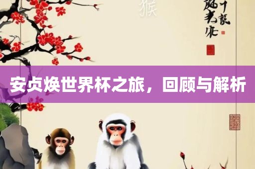 安贞焕世界杯之旅，回顾与解析