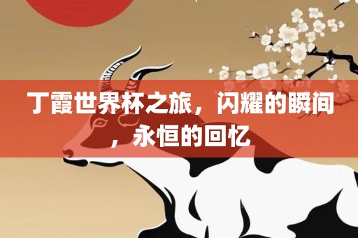 丁霞世界杯之旅，闪耀的瞬间，永恒的回忆