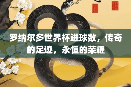 传奇的足迹