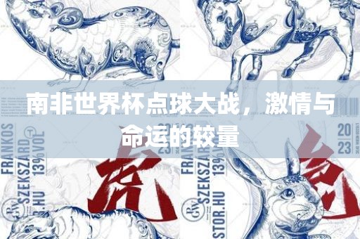 南非世界杯点球大战，激情与命运的较量