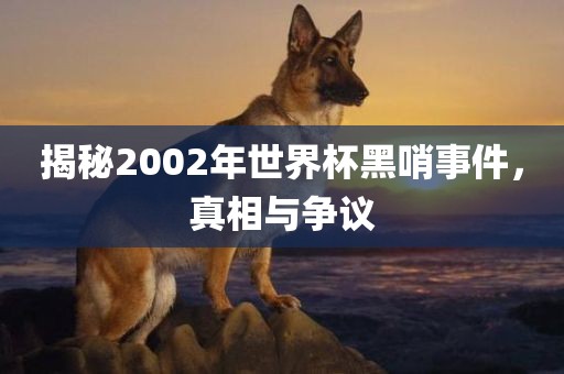 揭秘2002年世界杯黑哨事件，真相与争议