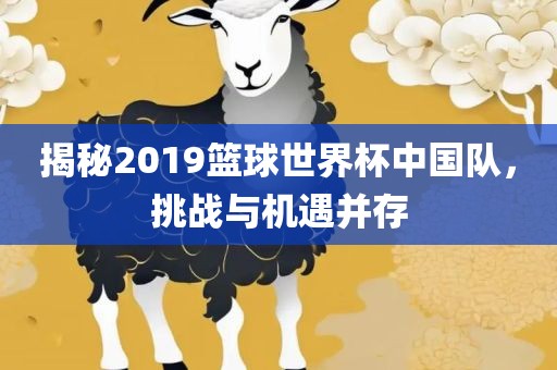 揭秘2019篮球世界杯中国队，挑战与机遇并存