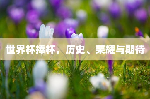 世界杯捧杯，历史、荣耀与期待