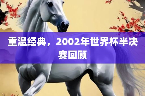 重温经典，2002年世界杯半决赛回顾