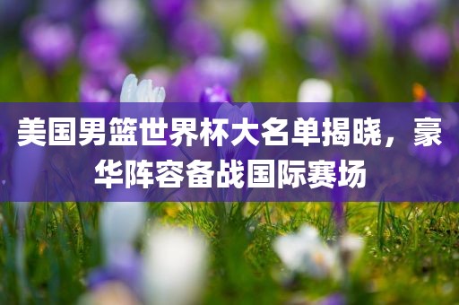 美国男篮世界杯大名单揭晓，豪华阵容备战国际赛场