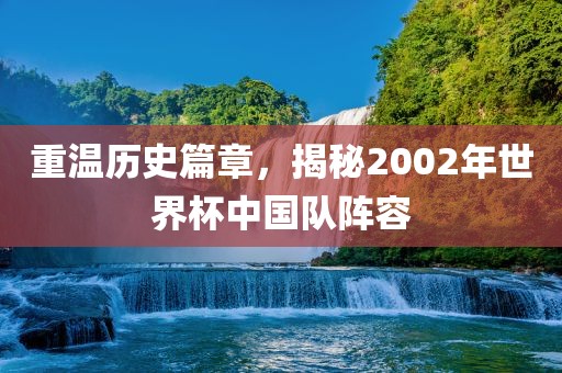 重温历史篇章，揭秘2002年世界杯中国队阵容