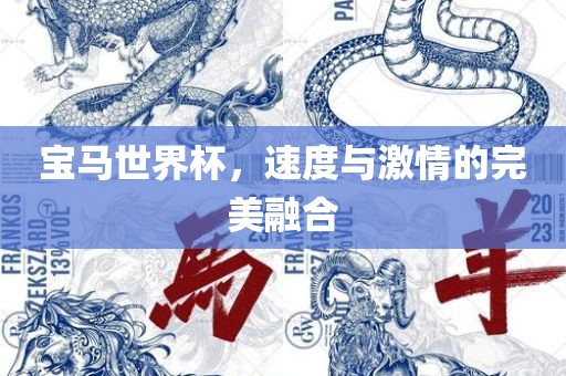宝马世界杯，速度与漯河市盈旭机械设备有限公司激情的完美融合