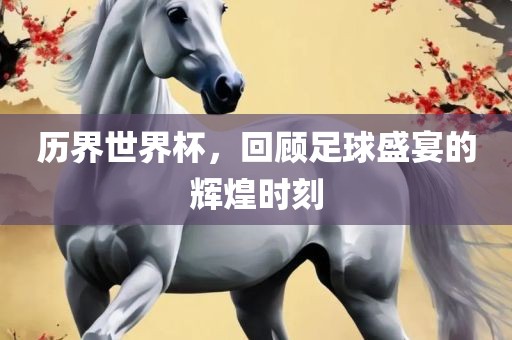 历界世界杯，回顾足球盛宴的辉煌时刻