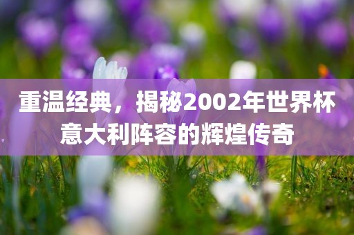 重温经典，揭秘2002年世界杯意大利阵容的辉煌传奇漯河市盈旭机械设备有限公司