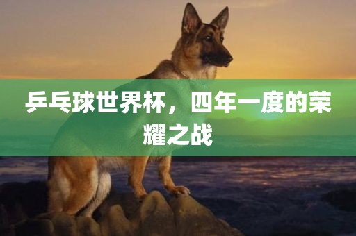 乒乓球世界杯，四年一度的荣耀之战