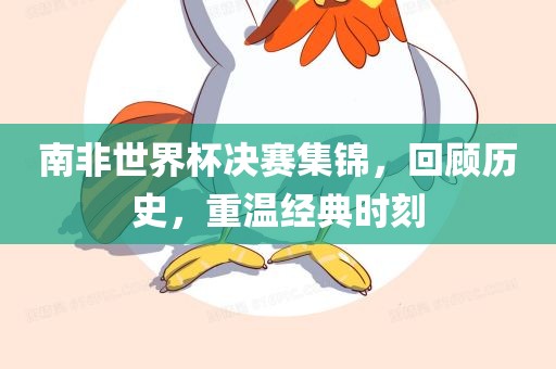 南非世界杯决赛集锦，回顾历史，重温经典时刻