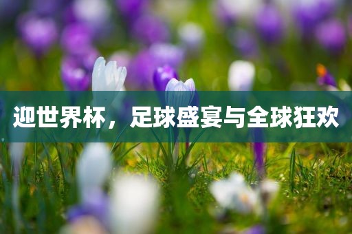 迎世界杯，足球盛宴与全球狂欢