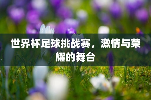 世界杯足球挑战赛，激情与荣耀的舞台漯河市盈旭机械设备有限公司
