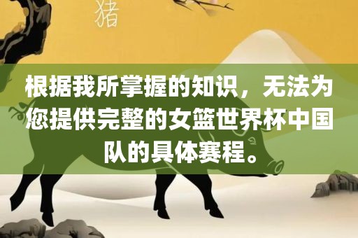 根据我所掌握的知识，无法为您提供完整的女篮世界杯中国队的具体赛程。