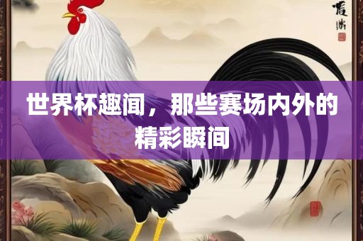 世界杯趣闻，那些赛场内外的精彩瞬间
