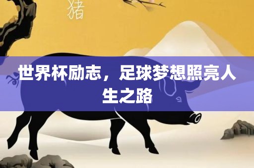 世界杯励志，足球梦想照亮人生之路
