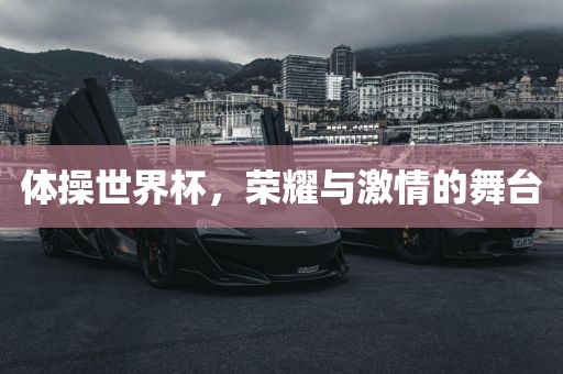 体操世界杯，荣耀与激情的舞台漯河市盈旭机械设备有限公司