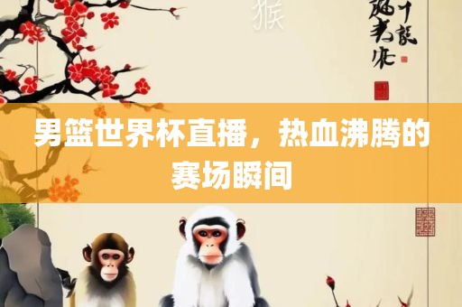 男篮世界杯直播，热血沸腾的赛场瞬间