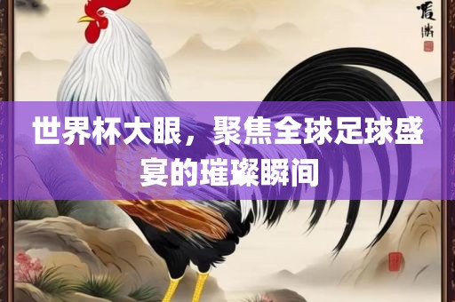 世界杯大眼，聚焦全球足球盛宴的璀璨瞬间