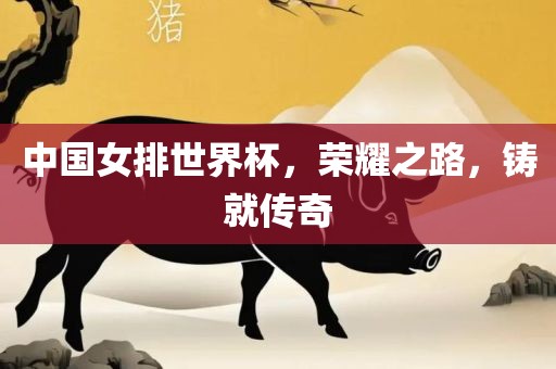 中国女排世界杯，荣耀之路，铸就传奇