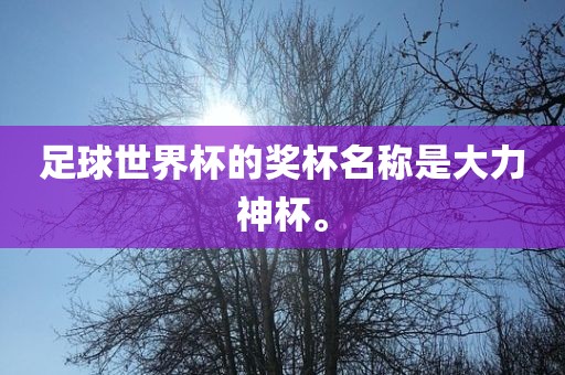 足球世界杯的奖杯名称是大力神杯。漯河市盈旭机械设备有限公司