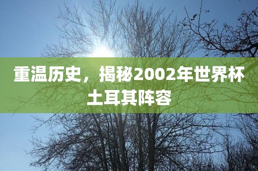 重温历史，揭秘2002年世界杯土耳其阵容