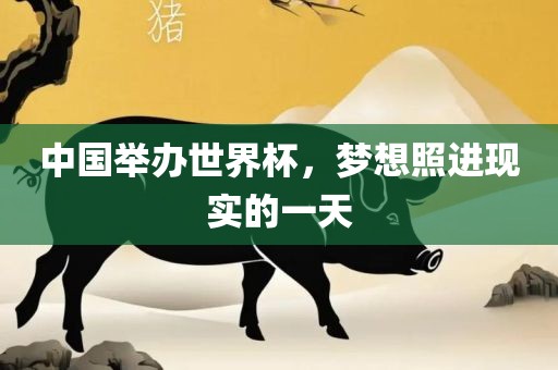 中国举办世界杯，梦想照进现实的一天