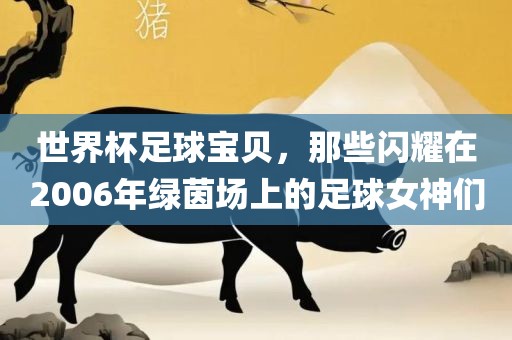 世界杯足球宝贝，那些闪耀在2006年绿茵场上的足球女神们
