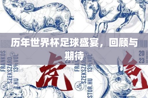历年世界杯足球盛宴，回顾与期待