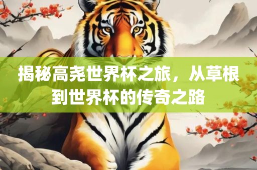揭秘高尧世界杯之旅，从草根到世界杯的传奇之路