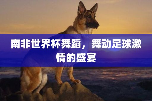 南非世界杯舞蹈，舞动足球激情的盛宴