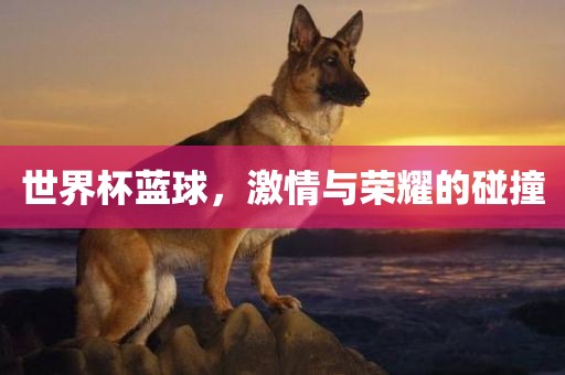 世界杯蓝球，激情与荣耀的碰撞