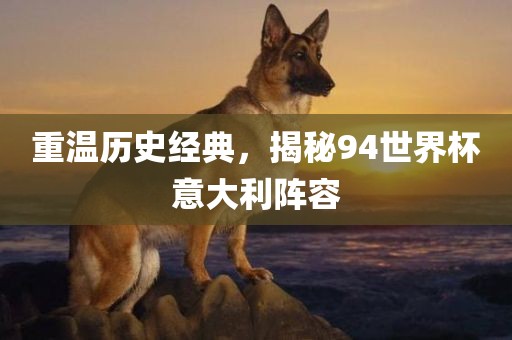 重温历史经典，揭秘94世界杯意大利阵容漯河市盈旭机械设备有限公司