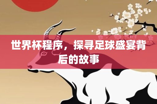 世界杯程序，探寻足球盛宴背后的故事
