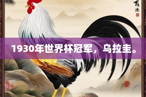1930年世界杯冠军，乌拉圭。