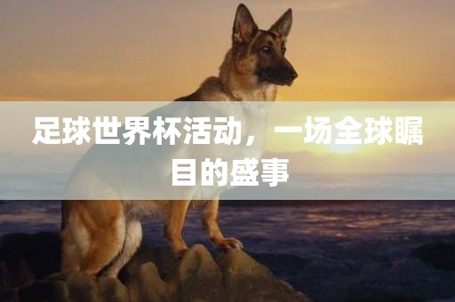足球世界杯活动，一场全球瞩目的盛事