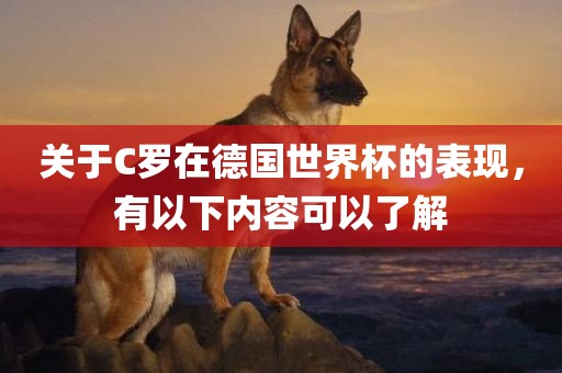 关于C罗在德国世界杯的表现，有以下内容可以了解漯河市盈旭机械设备有限公司
