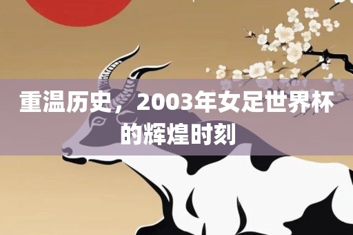 重温历史，2003年女足世界杯的辉煌时刻漯河市盈旭机械设备有限公司
