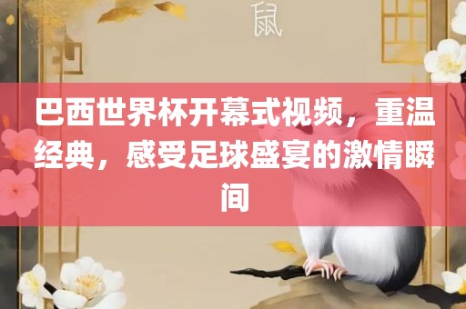 巴西世界杯开幕式视频，重温经典，感受足球盛宴的激情瞬间漯河市盈旭机械设备有限公司