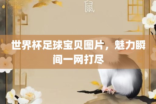 世界杯足球宝贝图片，魅力瞬间一网打尽