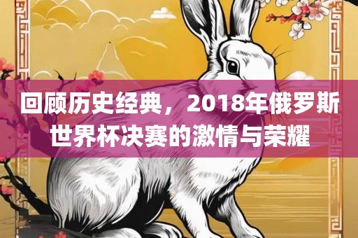 回顾历史经典，2018年俄罗斯世界杯决赛的激情与荣耀